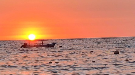 Conectar-o-desconectar